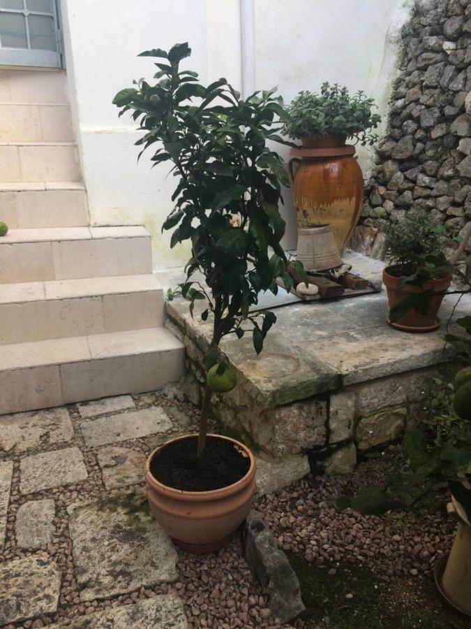 דירות אוסטוני Dimora Le Zagare מראה חיצוני תמונה